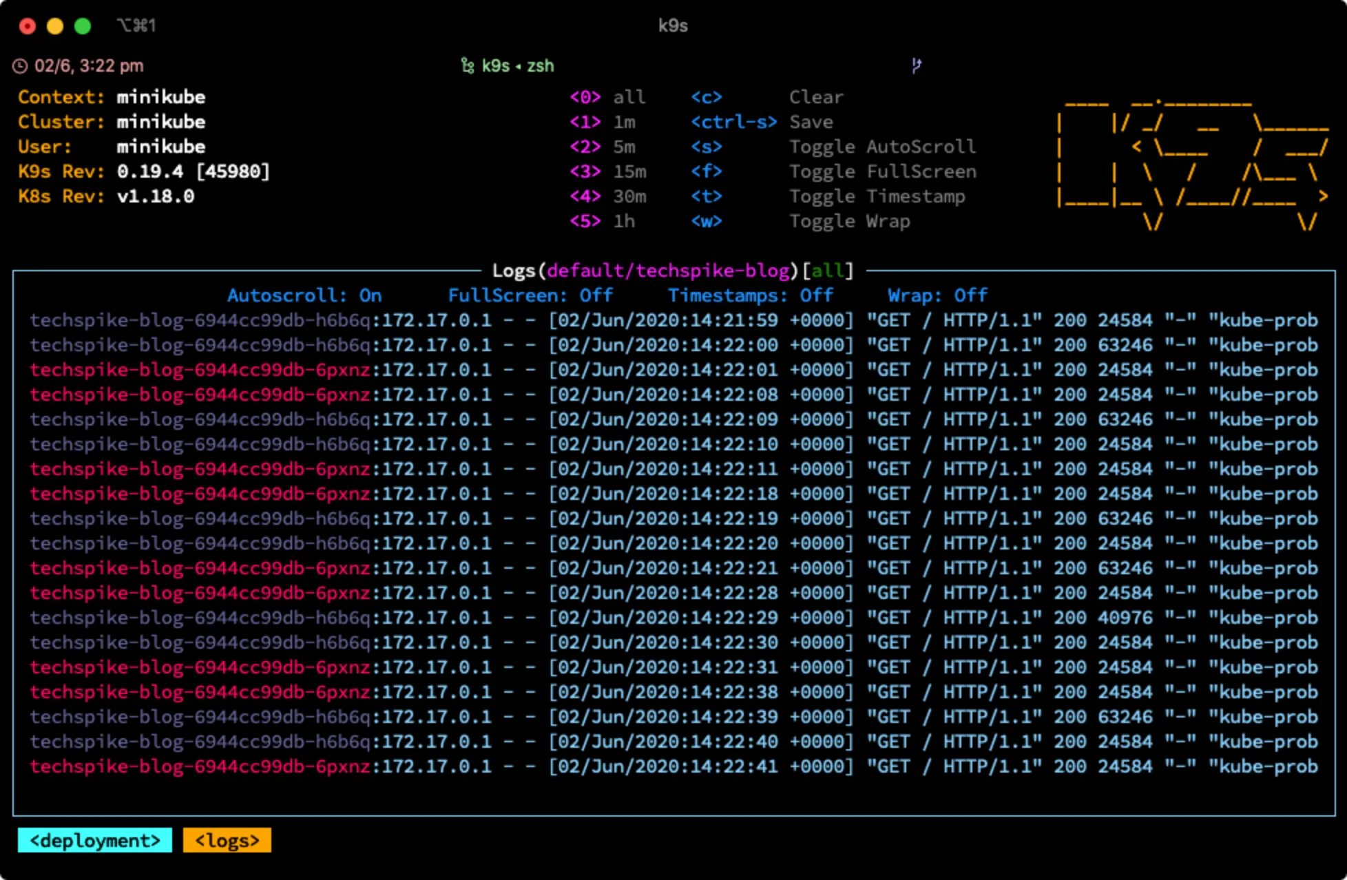 Viewing logs in K9s